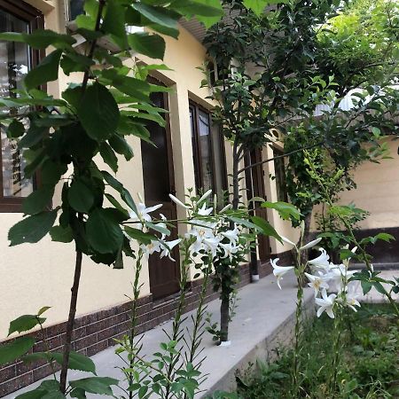 Дом Отель Бадамзар Tashkent Ngoại thất bức ảnh